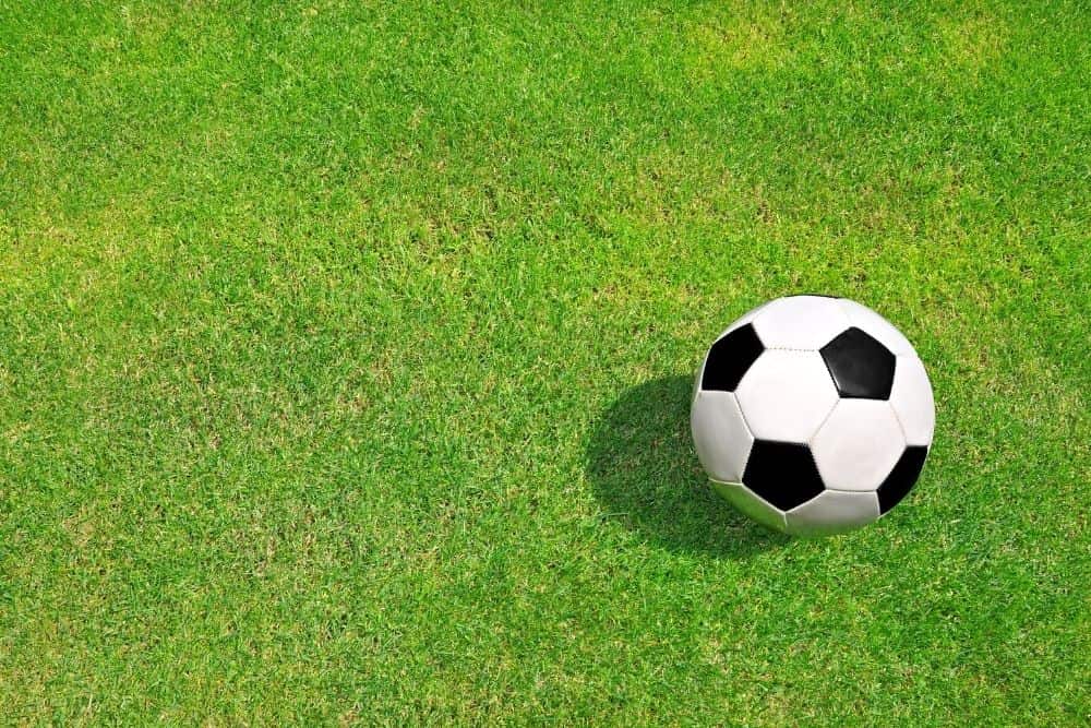 a soccer ball is on the field. Why Do Soccer Balls Have Pentagons?