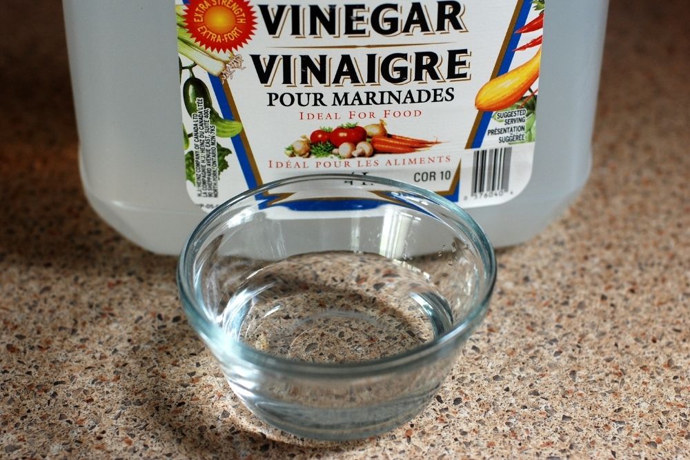 A cup of Vinegar