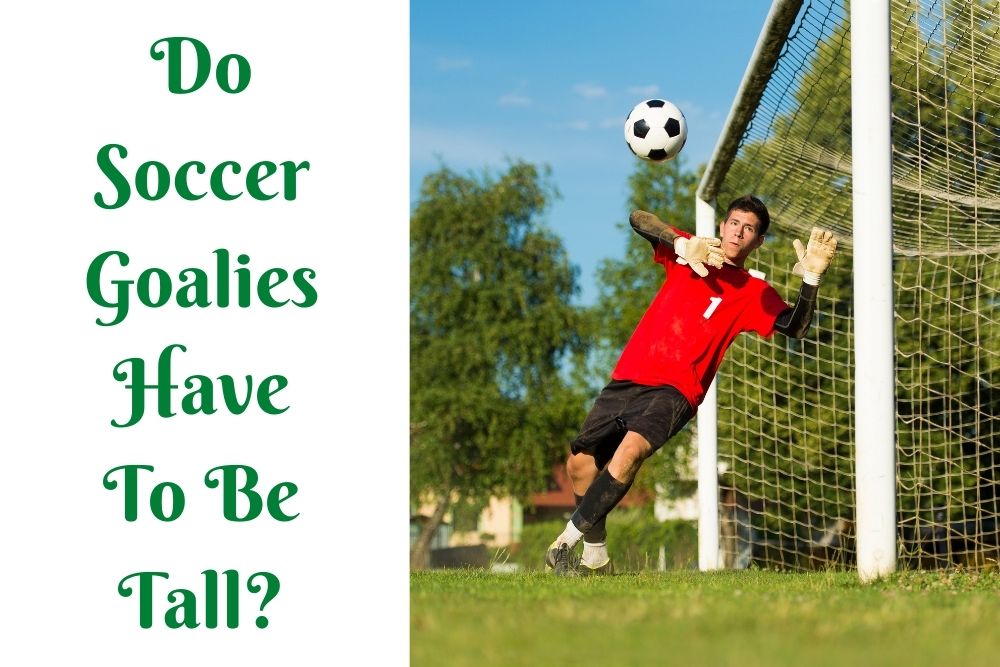 Do Soccer Goalies Have To Be Tall? 3 Types of Soccer