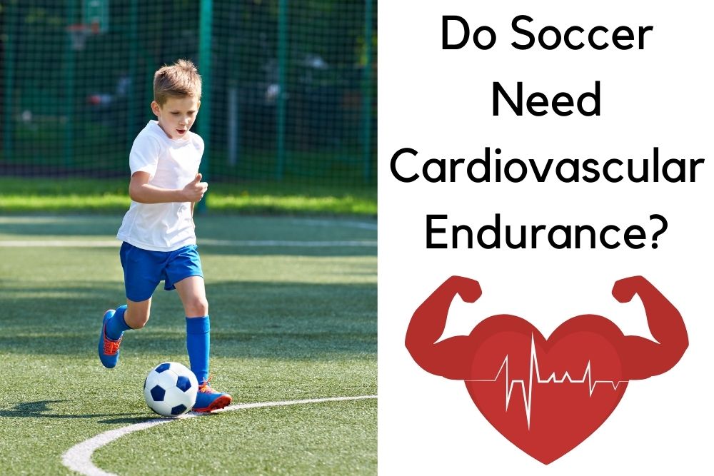Do Soccer Need Cardiovascular Endurance?