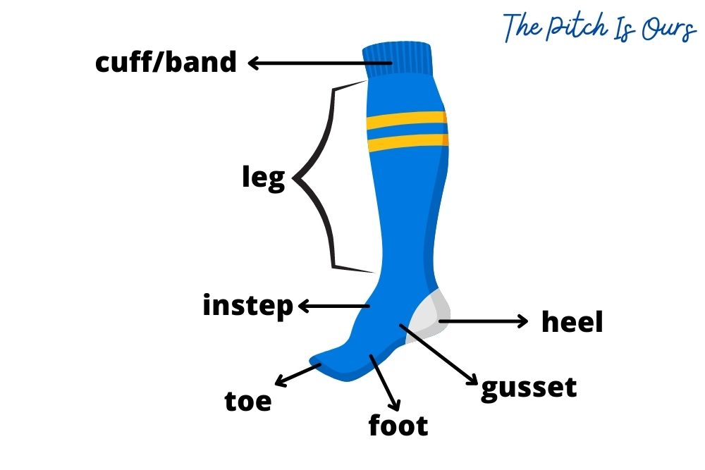 sock anatomy