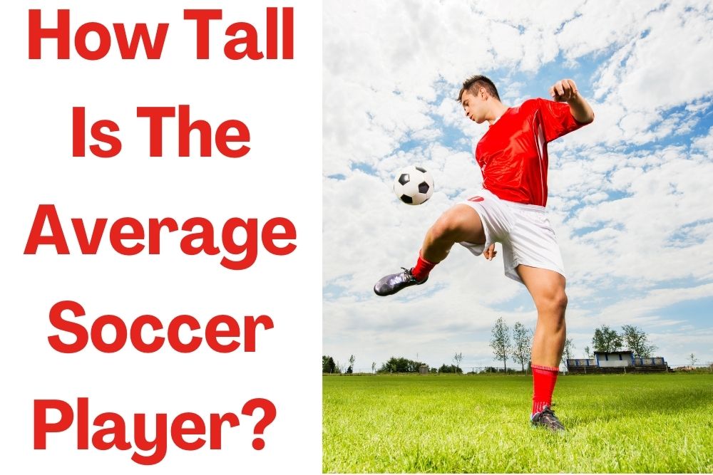 How Tall Is The Average Soccer Player? 