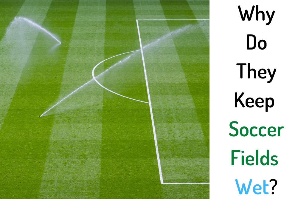 Why Do They Keep Soccer Fields Wet?