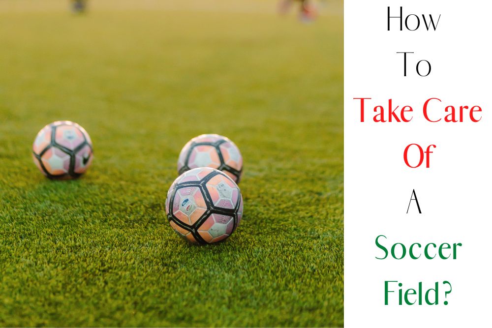 How To Take Care Of A Soccer Field?